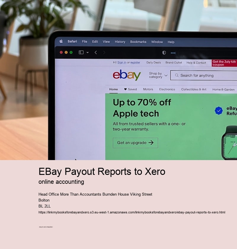 eBay Payout Reports to Xero