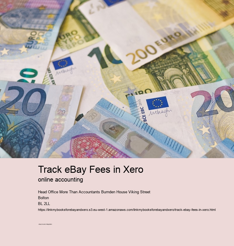 Track eBay Fees in Xero